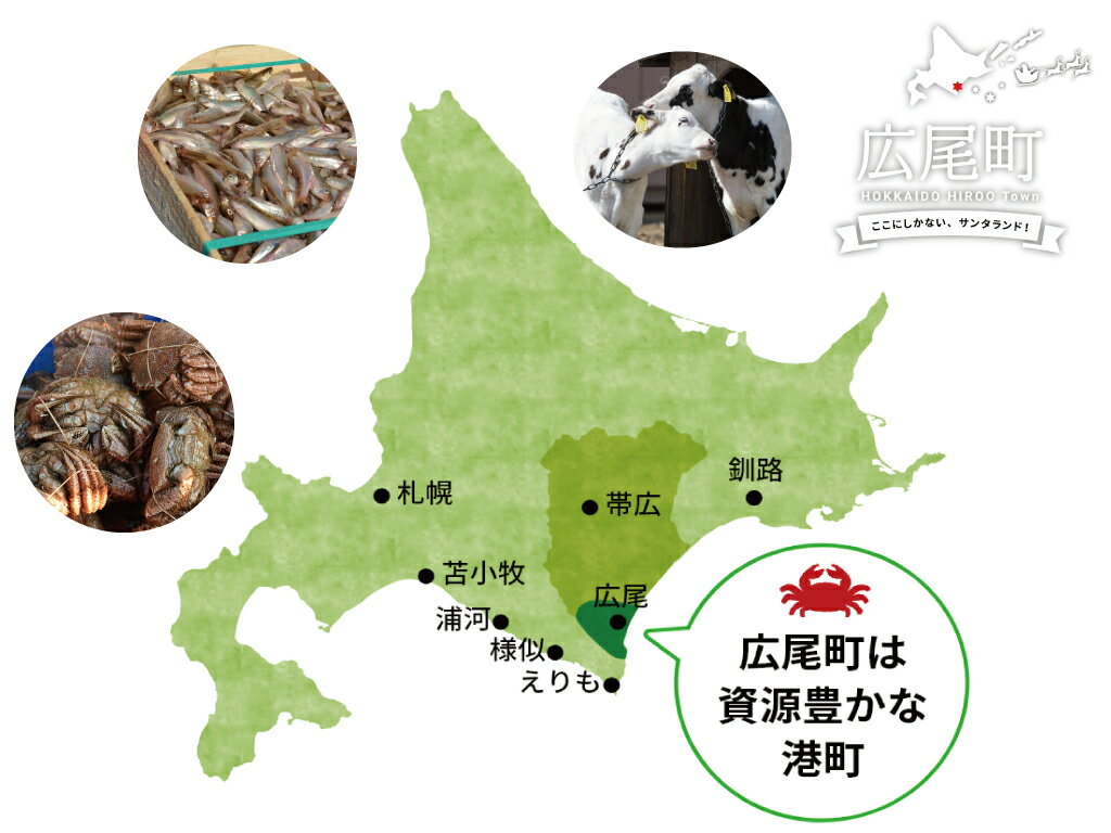 【ふるさと納税】【岡嶋水産】生乾ししゃも【北海道広尾町産】