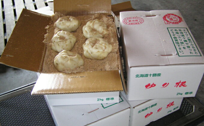 アウトレット送料無料 ふるさと納税 北海道十勝幕別産 ゆり根mサイズ1kg 12玉 21年秋より順次出荷 野菜 根菜 お届け 21年12月上旬 正規激安 Wheretogetstamps Org