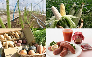 【ふるさと納税】十勝幕別 北の畑のオーナーさん 旬の野菜年4回定期便【2022年5月出荷開始】 【定期便・野菜・とうもろこし・アスパラガス・じゃがいも・たまねぎ・かぼちゃ・セット・詰め合わせ】