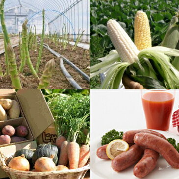 【ふるさと納税】十勝幕別 北の畑のオーナーさん 旬の野菜年4回定期便【2022年5月出荷開始】 【定期便・野菜・とうもろこし・アスパラガス・じゃがいも・たまねぎ・かぼちゃ・セット・詰め合わせ】
