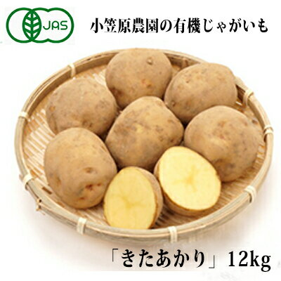 【ふるさと納税】小笠原農園の有機じゃがいも「きたあかり」12kg【北海道十勝幕別】≪2021年秋より順次出荷≫　【野菜・じゃがいも】　お届け：2021年9月下旬〜12月下旬