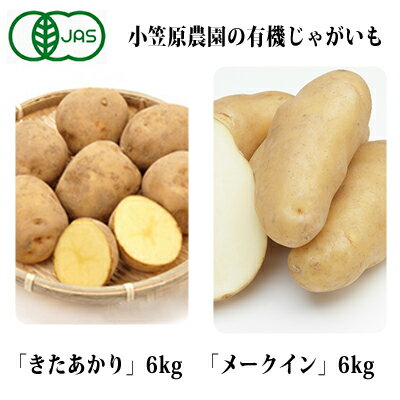 【ふるさと納税】小笠原農園の有機じゃがいも2種詰合せ（きたあかり6kg・メークイン6kg）【北海道十勝幕別】≪2021年秋より順次出荷≫　【野菜・じゃがいも・セット・詰合せ】　お届け：2021年9月下旬〜12月下旬