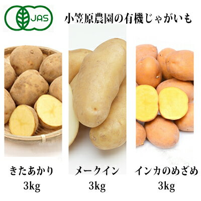 小笠原農園の有機じゃがいも3種詰合せ(きたあかり3kg・メークイン3kg・インカ3kg)【北海道十勝幕別】≪2021年秋より順次出荷≫ 【野菜・じゃがいも・セット・詰合せ】 お届け:2021年9月下旬〜12月下旬