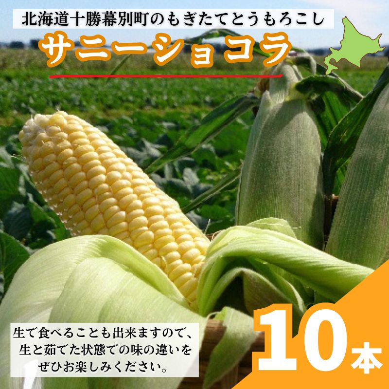 [2024年出荷先行予約]もぎたてとうもろこし黄色10本[十勝幕別 北海道ホープランド農場] [野菜・とうもろこし] お届け:2024年9月上旬〜2024年9月下旬