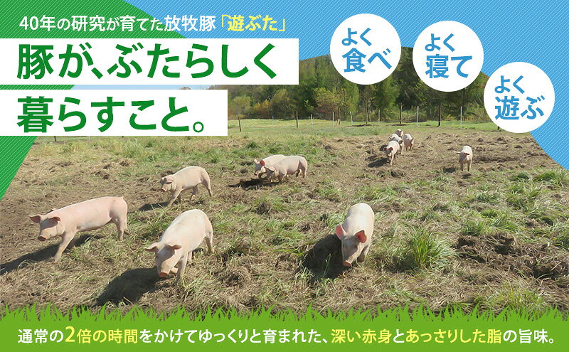 【ふるさと納税】北海道十勝の放牧豚”遊ぶた”粗挽き1.2kg餃子・ハンバーグ用セット お肉 豚肉 粗挽き肉 餃子用 豚粗挽き肉 f016438-makubetsu-10000110 北海道幕別町 サンプル画像3