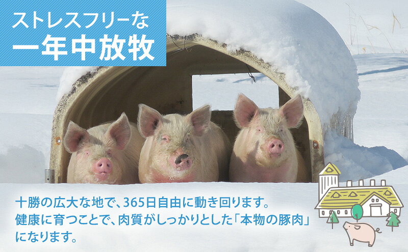 【ふるさと納税】北海道十勝の放牧豚”遊ぶた”大きなヒレカツ用640gセット お肉 豚肉 とんかつ f016438-makubetsu-10000113 北海道幕別町 サンプル画像3