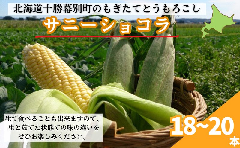 【ふるさと納税】［2024年出荷先行予約］もぎたてとうもろこし黄色18～20本【十勝幕別 北海道ホープランド農場】　【野菜・とうもろこし・トウモロコシ】　お届け：2024年9月上旬～2024年9月下旬