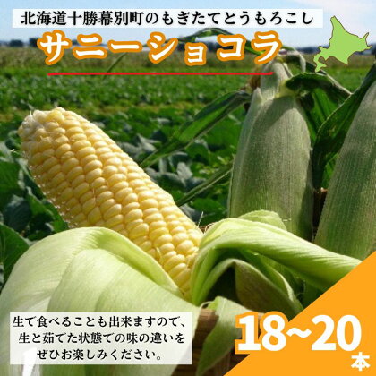 ［2024年出荷先行予約］もぎたてとうもろこし黄色18～20本【十勝幕別 北海道ホープランド農場】　【野菜・とうもろこし・トウモロコシ】　お届け：2024年9月上旬～2024年9月下旬