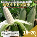 【ふるさと納税】［2024年出荷先行予約］もぎたてとうもろこし白色18～20本【十勝幕別 北海道ホープランド農場】　【野菜・とうもろこ..