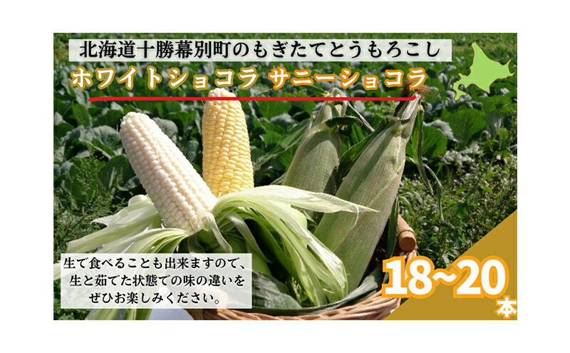 �ڤդ뤵��Ǽ�ǡۡ����ͽ��/2026ǯ�Ϥ⤮���ƤȤ�������������� ��18��20�ܥ��å� [�̳�ƻ�ۡ��ץ�������]�� �Ȥ����� �ȥ�������� �Ȥ�������� ��� ����� �ե롼�� �̳�ƻ ���� ���� �� �����Ϥ���2026ǯ8��ܡ�2026ǯ9���