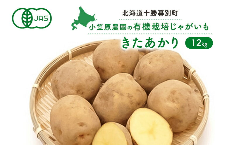 【ふるさと納税】小笠原農園の有機じゃがいも「きたあかり」12kg【北海道十勝幕別】≪2024年秋出荷先行予約≫　【野菜・じゃがいも】　お届け：2024年9月下旬～12月下旬