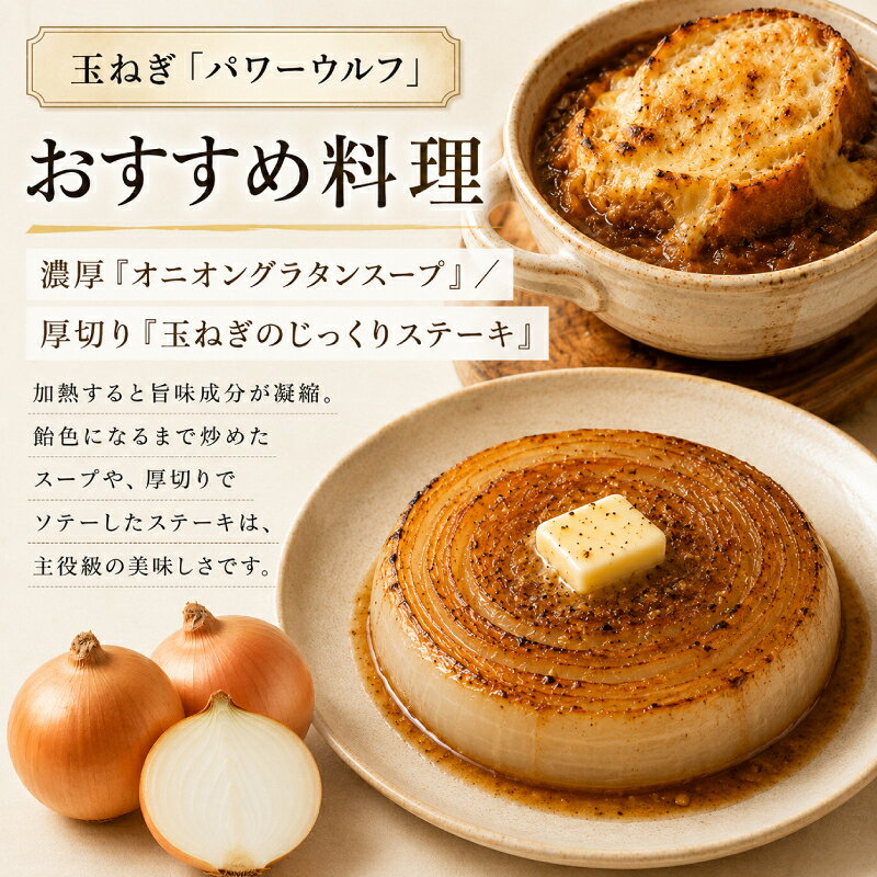 【ふるさと納税】小笠原農園の有機野菜 2種詰合せ（玉ねぎ3kg・リーキ3kg）北海道 ...