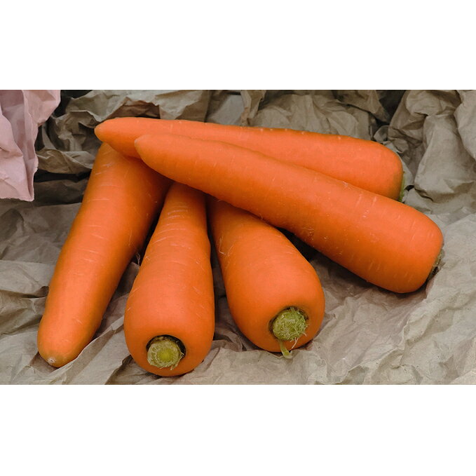 【ふるさと納税】北海道十勝幕別産 にんじん 約10kg【2023年8月出荷開始】　【野菜・人参・にんじん・ニンジン】　お届け：2023年8月中旬〜2023年10月末までのサムネイル