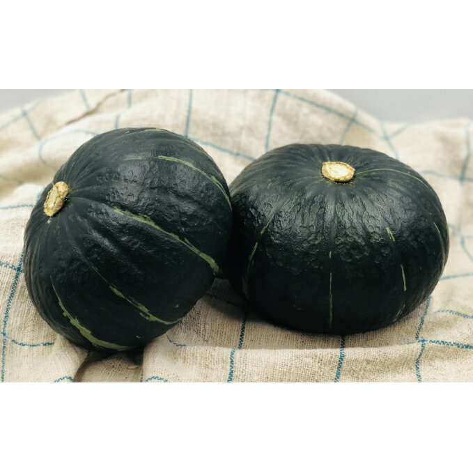 【ふるさと納税】北海道十勝幕別産 かぼちゃ 約10kg（6玉）【2023年9月出荷開始】　【野菜・根菜・かぼちゃ・カボチャ】　お届け：2023年9月〜2023年10月末までのサムネイル