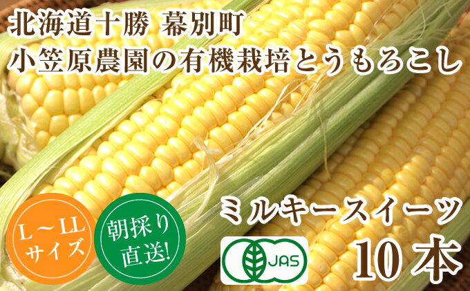 【ふるさと納税】小笠原農園の有機とうもろこし「ミルキースイーツ」10本【北海道十勝幕別】2024年8月発送開始　【野菜・とうもろこし】　お届け：2024年8月上旬～2024年9月下旬