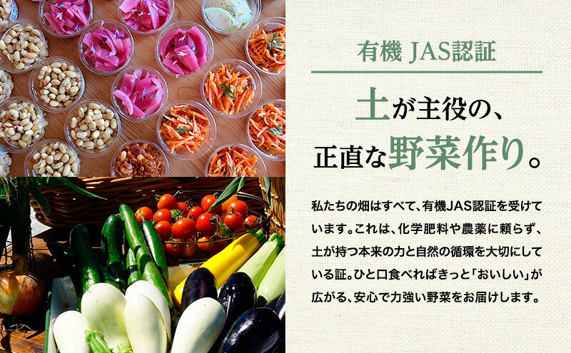 【ふるさと納税】小笠原農園の有機野菜 定期便 夏「とうもろこし」ミルキースイーツ16本・秋「じゃがいも2種」とうや6kg・北海こがね6kg《2026年8月出荷開始》北海道 十勝 幕別【 スイートコーン じゃがいも 芋 セット 野菜 】　お届け：2026年8月より出荷開始 f016438-makubetsu-10000443 北海道幕別町 サンプル画像3
