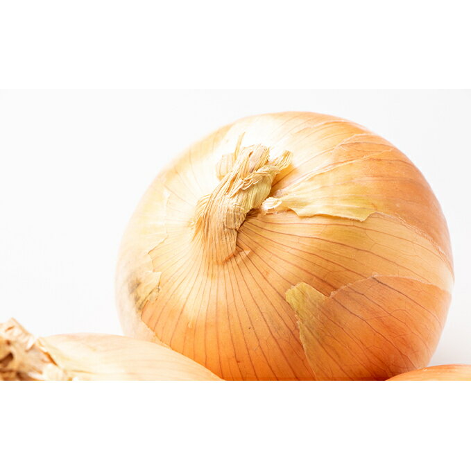 【ふるさと納税】十勝幕別のジャンボ玉ねぎ20kg（3L）【北海道ホープランド農場】　【野菜・玉ねぎ・たまねぎ】　お届け：2024年10月下旬～2025年2月末のサムネイル