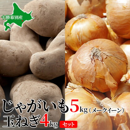 じゃがいも5kg・玉ねぎ4kgセット（メークイン）【十勝幕別 北海道ホープランド農場】　【じゃがいも・玉ねぎ・たまねぎ・野菜・セット・詰合せ】　お届け：2024年10月下旬～2025年2月末