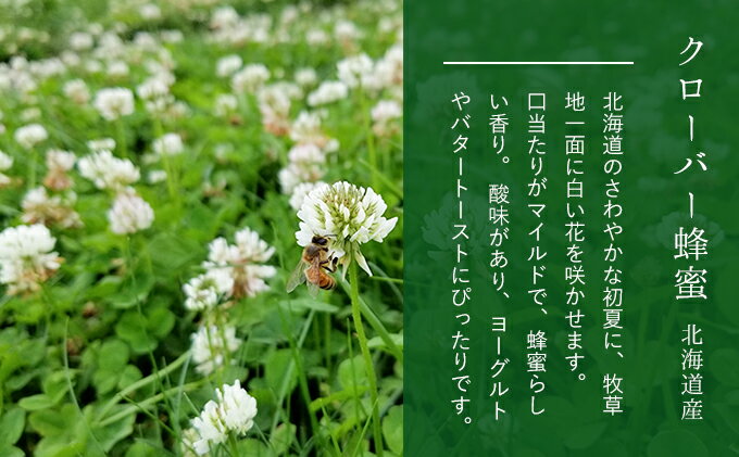 【ふるさと納税】ご自宅用に 北海道産クローバー蜂蜜1kgパック入り はちみつ 国産