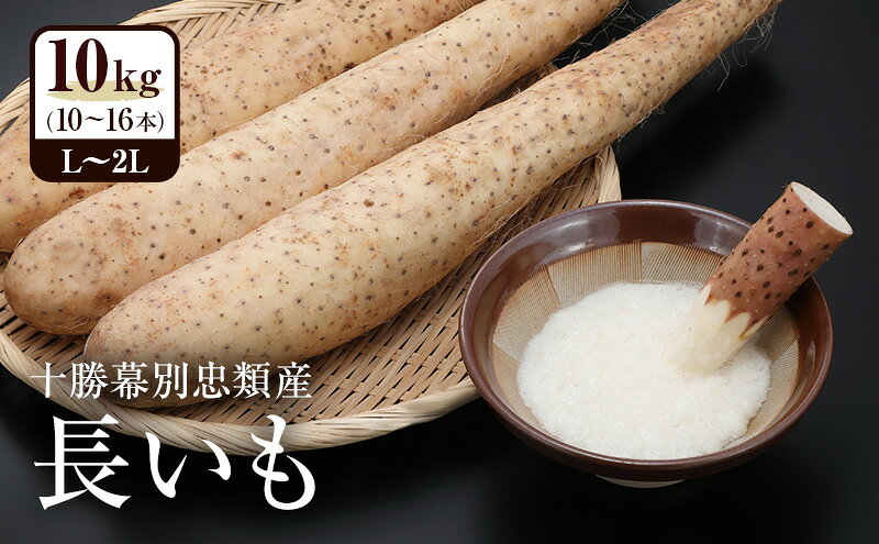 【ふるさと納税】2026年12月発送 先行予約 十勝「忠類長いも」10kg (10～16本) L～2L［JA忠類］【 長芋 ながいも 山芋 芋 とろろ 野菜 根菜 産地直送 贈答 ギフト北海道 幕別 】　お届け：2026年12月上旬～2026年12月中旬