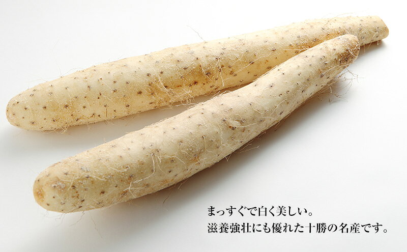 【ふるさと納税】2026年12月発送 先行予約 十勝「忠類長いも」10kg (10～16本) L～2L［JA忠類］【 長芋 ながいも 山芋 芋 とろろ 野菜 根菜 産地直送 贈答 ギフト北海道 幕別 】　お届け：2026年12月上旬～2026年12月中旬