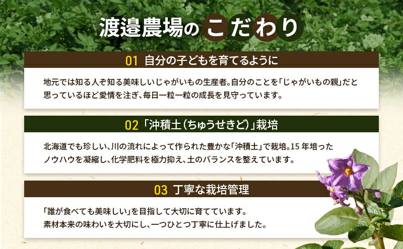 【ふるさと納税】十勝 幕別町産 カラフルポテト8kg 2種(シャドークイーン4kg・ノー...