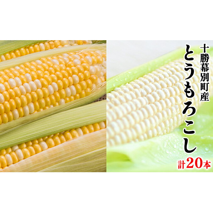 [2024年出荷先行予約]十勝幕別町産 とうもろこし L〜2Lサイズ 20本 (ドルチェドリーム10本・雪の妖精10本)[本田農場] [ 野菜 とうもろこし セット 詰合せ 食べ比べ 北海道産 産地直送 ] お届け:2024年8月初旬〜9月中旬