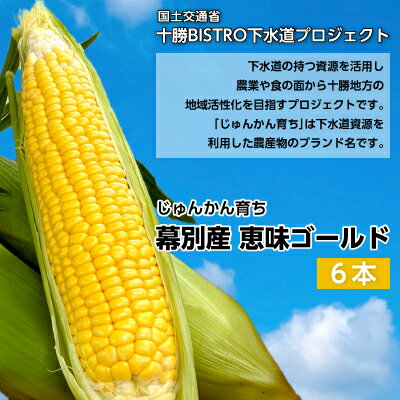 とうもろこし 恵味ゴールド 6本「じゅんかん育ち」【十勝BISTRO下水道プロジェクト】北海道 十勝 幕別町　【野菜・とうもろこし】　お届け：2024年8月1日～2024年8月31日