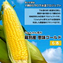 【ふるさと納税】とうもろこし 恵味ゴールド 6本「じゅんかん育ち」【十勝BISTRO下水道プロジェクト】北海道 十勝 幕別町 野菜 お届け:2025年8月1日...