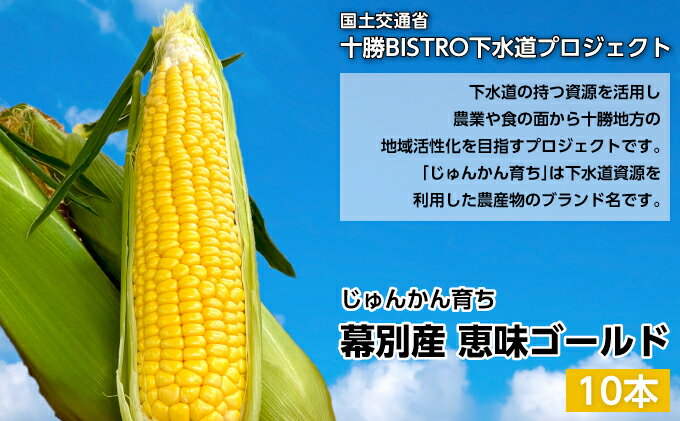 【ふるさと納税】とうもろこし 恵味ゴールド 10本「じゅんかん育ち」【十勝BISTRO下水道プロジェクト】北海道 十勝 幕別町　【野菜・とうもろこし】　お届け：2024年8月1日～2024年8月31日