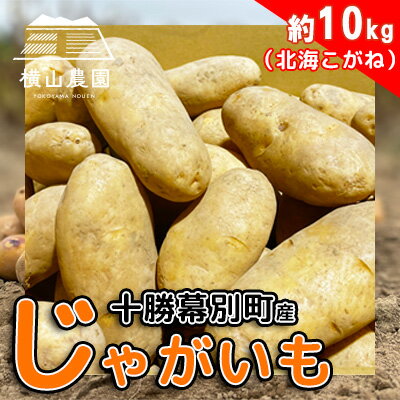 名称じゃがいも内容量じゃがいも 北海こがね（M～3Lサイズ混玉）約10kg産地北海道幕別町産事業者株式会社横山農園配送方法常温配送お届け時期2024年9月中旬～2024年11月末まで備考※画像はイメージです。 ※天候や発育によりお届け時期が前後する場合がございます。 ※商品到着後は、冷蔵庫又は冷暗所で保管のうえ、早めにお召し上がりください。 ・ふるさと納税よくある質問はこちら ・寄附申込みのキャンセル、返礼品の変更・返品はできません。あらかじめご了承ください。【ふるさと納税】北海道 十勝 幕別産 じゃがいも 北海こがね 約10kg【横山農園】[2024年9月下旬出荷開始]　【 野菜 北海道産じゃがいも 完熟じゃがいも 変色しない フライドポテト用 ポテトチップス用 煮崩れしにくい 】　お届け：2024年9月中旬～2024年11月末まで 横山農園ではほとんど農薬をかけておりません。根が土の中に張り巡らせることを第一とし、植物の自力を高め、病気や害虫に打ち勝てるように育てています。 そのため、えぐ味が無く、芋の果肉の密度が高く、ぎっしりと詰まっている感じで、じゃがいも自身が完熟した状態で収穫します。 実が詰まった自然な味わいが特徴です。 北海こがねは、加熱してもあまり変色しないため、フライドポテトやポテトチップスなどに使用されているじゃがいもです。また、煮崩れしにくい性質をもち、加工食品だけでなく一般的な料理にも向いてます。 見た目はメークインによく似ています。長い楕円形をしており、皮は薄い黄褐色で芽の窪みが浅くすっきりとしているのが特徴です。そのため皮を剥きやすく、料理しやすいため人気があります。果肉は黄金色で、「北海黄金（ホッカイコガネ）」という名前の由来にもなっています。 寄附金の用途について (1)パークゴルフの振興に関する事業 (2)ナウマン象記念館の整備に関する事業 (3)未来のオリンピック選手を育てる事業 (4)頑張る農業を応援する事業 (5)未来を担う子どもたちを守り育てる事業 (6)地域で支え合う健康・福祉に関する事業 (7)地球にやさしい行動を推進する事業 (8)定住・移住を促進する事業 (9)自治体におまかせ 受領証明書及びワンストップ特例申請書のお届けについて 入金確認後、注文内容確認画面の【注文者情報】に記載の住所にお送りいたします。発送の時期は、入金確認後1～2週間程度を目途に、お礼の特産品とは別にお送りいたします。 ■　ワンストップ特例について ワンストップ特例をご利用される場合、1月10日までに申請書が当庁まで届くように発送ください。 マイナンバーに関する添付書類に漏れのないようご注意ください。 ▽申請書のダウンロードはこちら https://event.rakuten.co.jp/furusato/guide/onestop/