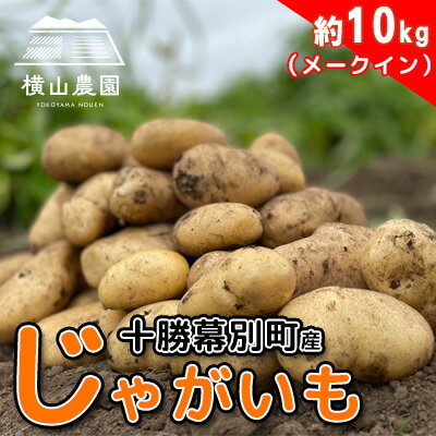 【ふるさと納税】北海道 十勝 幕別産 じゃがいも メークイン 約10kg【横山農園】[2024年9月下旬出荷開始]　【 野菜 北海道産じゃがいも 完熟じゃがいも しっとり 煮込み料理 炒め物 肉じゃが 煮物 カレー シチュー 】　お届け：2024年9月中旬～2024年11月末まで