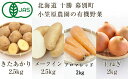 【ふるさと納税】小笠原農園の有機野菜4種詰合せ（きたあかり2.5kg・メークイン2.5kg・アロマレッド2kg・玉ねぎ2kg）【北海道十勝幕別】≪2024年秋出荷先行予約≫　【 野菜詰め合わせ 野菜セット 北海道産 北海道野菜 】　お届け：2024年9月下旬～12月下旬 2