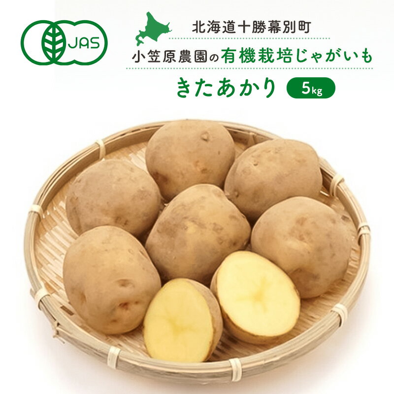 【ふるさと納税】小笠原農園の有機じゃがいも「きたあかり」5kg【北海道十勝幕別】《2025年秋出荷先行予約》【 野菜 芋 じゃがいも きたあかり 北海道 幕別町 】 お届け:2025年9月下旬~12月下旬