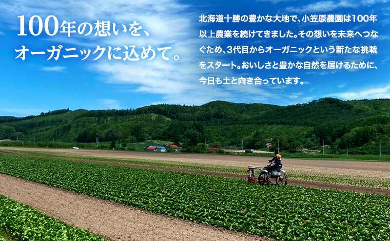 北海道幕別町の画像3