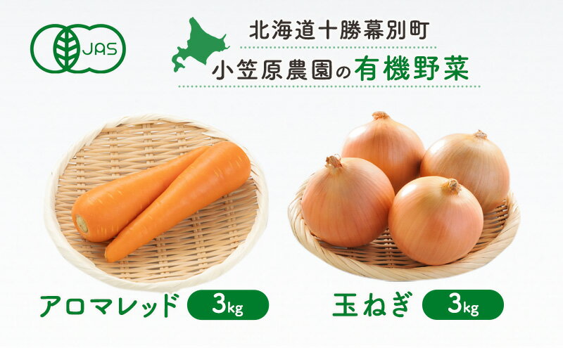 オニオン粉末 200g 6個セット（皇漢薬品研究所）-000008