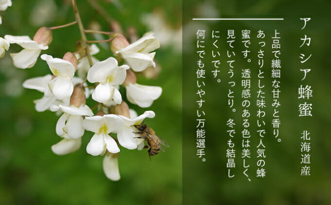 北海道幕別町の画像3