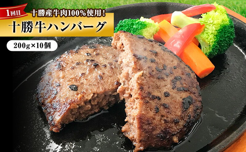 【ふるさと納税】北海道 十勝のお肉屋さん 厳選定期便【全3回】