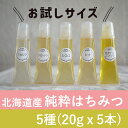 【ふるさと納税】【国産純粋蜂蜜】北海道産 はちみつ5種テイスティングセット100g(お試し20gチューブ×5本)本)アカシア・クローバー・シナ・オオハンゴウソウ...