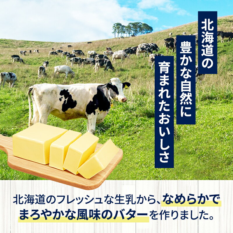 【ふるさと納税】定期便 12ヵ月連続 全12回 よつ葉 「北海道 よつ葉バター 加塩」150g×10 【 よつ葉 美味しい バター パン 有塩 塩 北海道 十勝 幕別 】