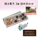 【ふるさと納税】十勝カルメル会シスターが真心こめて作った 焼き菓子 3種 詰め合わせ(サクサク・ラムレーズンクッキー・アーモンドココアクッキー)【 ギフト プチギフト お菓子 お礼 お返し 北海道 十勝 幕別 カルメル イエズス キリスト クッキー 】(4)