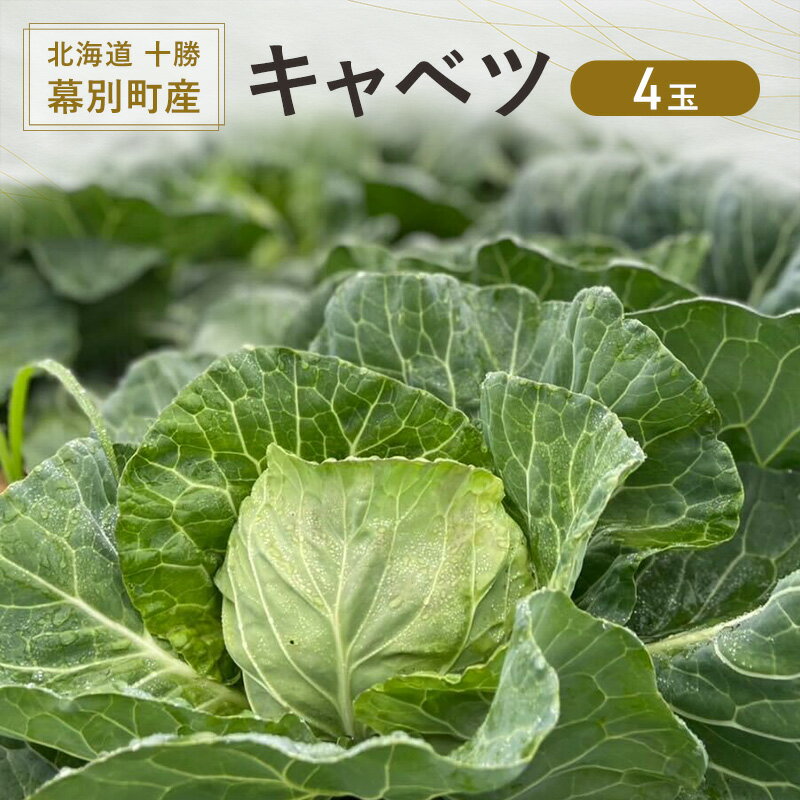 【ふるさと納税】北海道 十勝 幕別町産 キャベツ 4玉 【 野菜 サラダ 産地直送 竹内農場 きゃべつ 葉野菜 ロールキャベツ 千切り 】　お届け：2025年7月～11月末まで