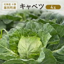 【ふるさと納税】北海道 十勝 幕別町産 キャベツ 4玉 【 野菜 サラダ 産地直送 竹内農場 きゃべつ 葉野菜 ロールキャベツ 千切り 】 お届け:2025年7月~11月末まで