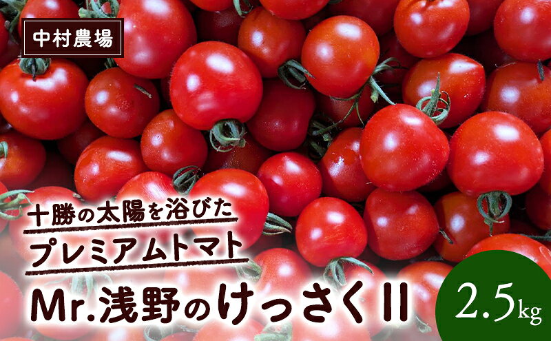 【ふるさと納税】訳あり 北海道 十勝の太陽を浴びたプレミアムトマト 「Mr.浅野のけっさく2」2.5kg ［中村農場］【 訳あり トマト フルーツトマト 中玉トマト ミディトマト 高糖度 甘い 濃厚 寒暖差 野菜 こだわり 農家直送 北海道 十勝 幕別 】　お届け：2025年10月下旬まで