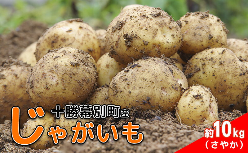 【ふるさと納税】先行予約/2026年秋発送 北海道 十勝 幕別産 じゃがいも さやか 約10kg 【横山農園】 野菜 根菜 食材 しっとり 崩れにくい 煮込み料理 炒め物 肉じゃが カレー シチュー 北海道のジャガイモ　お届け：2026年10月上旬～2026年11月下旬まで