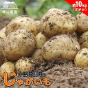 【ふるさと納税】北海道 十勝 幕別産 じゃがいも さやか 約10kg 【横山農園】 野菜 根菜 食材 しっとり 崩れにくい 煮込み料理 炒め物 肉じゃが カレー シチュー 北海道のジャガイモ お届け:2025年11月30日まで