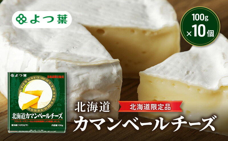 【ふるさと納税】よつ葉 「北海道カマンベールチーズ [北海道限定品]」100g×10【 よつ葉 北海道カマンベールチーズ 販売店 新千歳空港 札幌駅 お土産 通販 お取り寄せ 違い 口コミ パッケージ 北海道限定 食べ方 レシピ アレンジ ワイン おつまみ 北海道 十勝 幕別 】