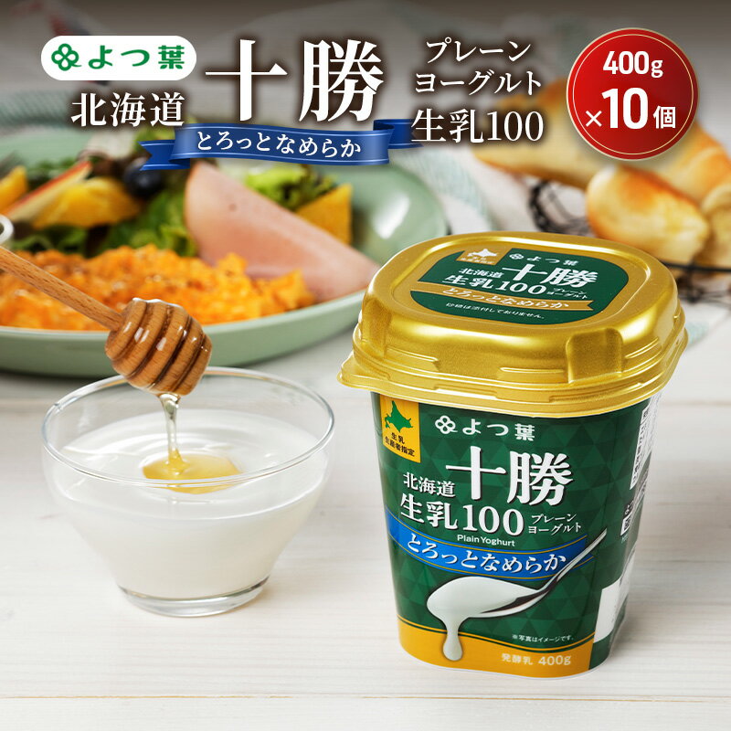 【ふるさと納税】よつ葉 「北海道十勝プレーンヨーグルト 生乳100 とろっとなめらか」400g×10【 よつ葉 北海道十勝プレーンヨーグルト 生乳100％ タンパク質 菌 効果 腸活 レシピ 食べ方 アレンジ 水切り はちみつ 違い やわらか 北海道 十勝 幕別 】