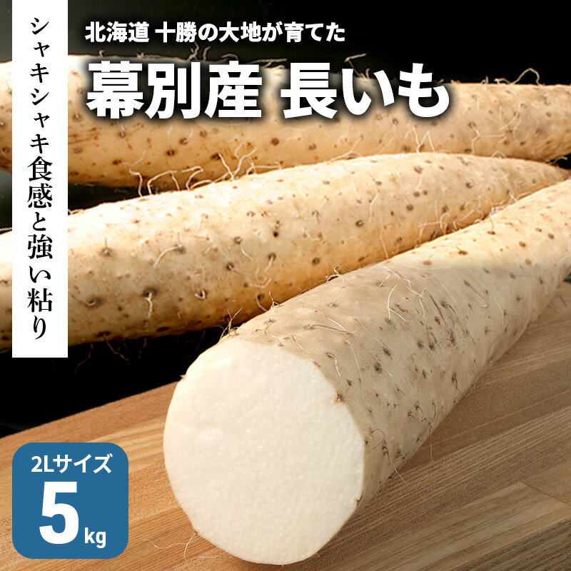 【ふるさと納税】北海道 十勝の大地が育てたシャキシャキ食感と強い粘り 幕別産 長いも 2Lサイズ 5kg［木川商店］【 長いも 長芋 なが..