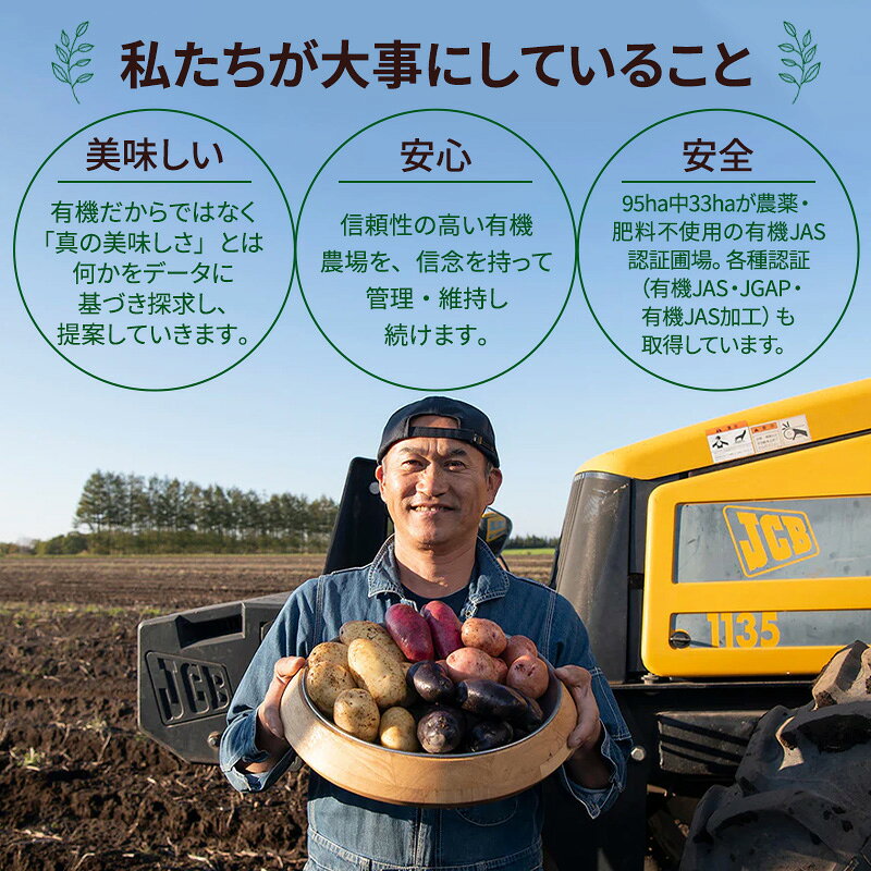【ふるさと納税】北海道 十勝 幕別 自然栽培「黒大豆」オーガニック大豆で作ったきな粉 500g（100g×5）［折笠農場］有機JAS 【 きな粉 きなこ 化学農薬不使用 国産 オーガニック 希少 ヨーグルト 離乳食 赤ちゃん 香ばしい 】 f016438-makubetsu-10001176 北海道幕別町 サンプル画像3